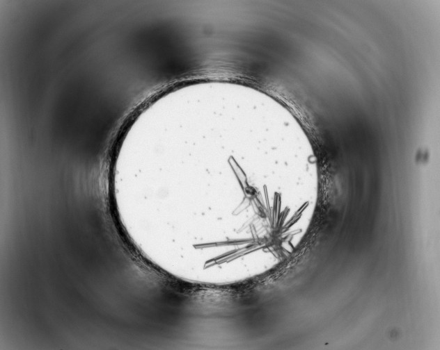 X0000103940350200810101421