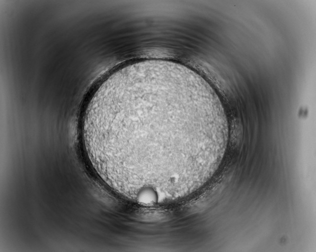 X0000103940351200810101421