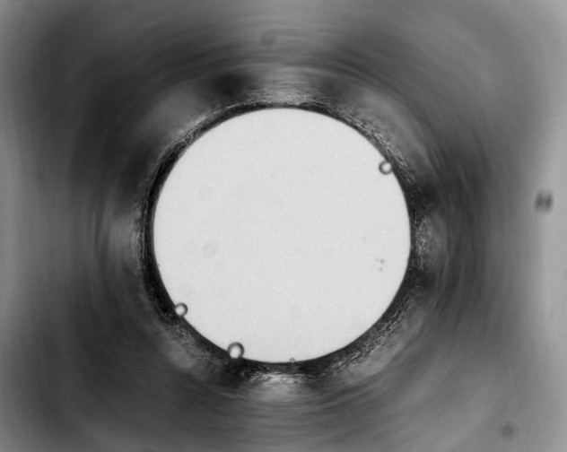 X0000103940352200810101421