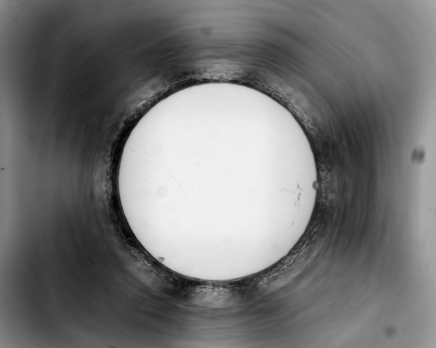 X0000103940354200810101421