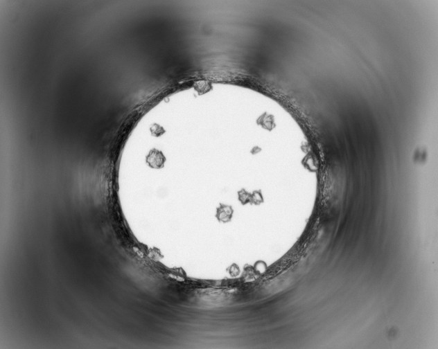 X0000103940356200810101421