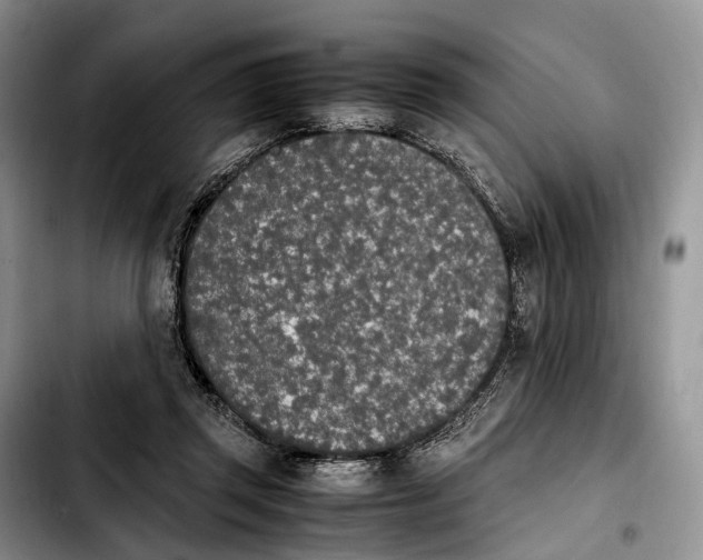 X0000103940357200810101421