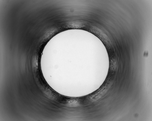 X0000103940358200810101421