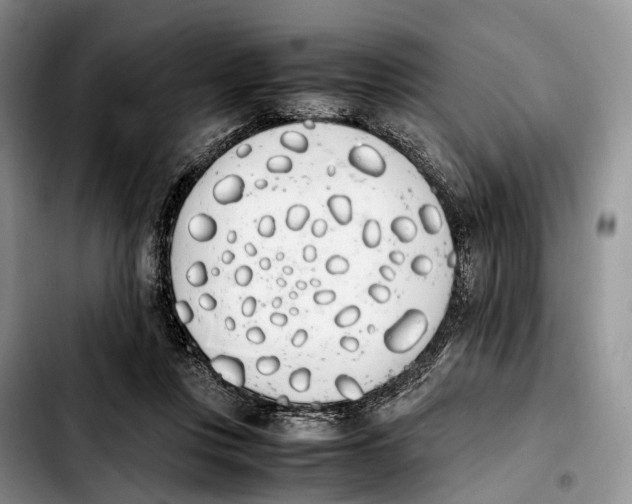 X0000103940359200810101421