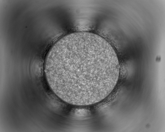 X0000103940360200810101421