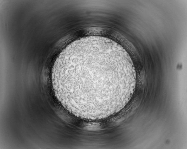 X0000103940361200810101421