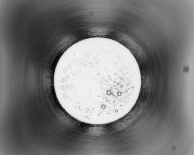 X0000103940362200810101421