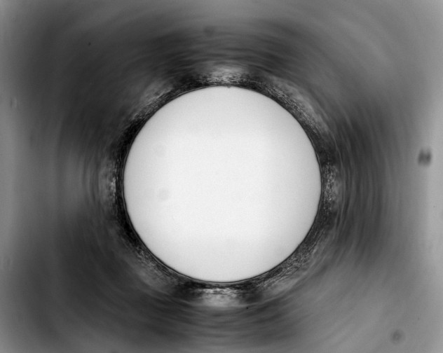 X0000103940363200810101421