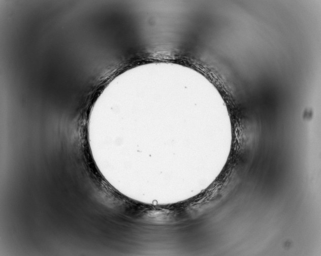 X0000103940364200810101421