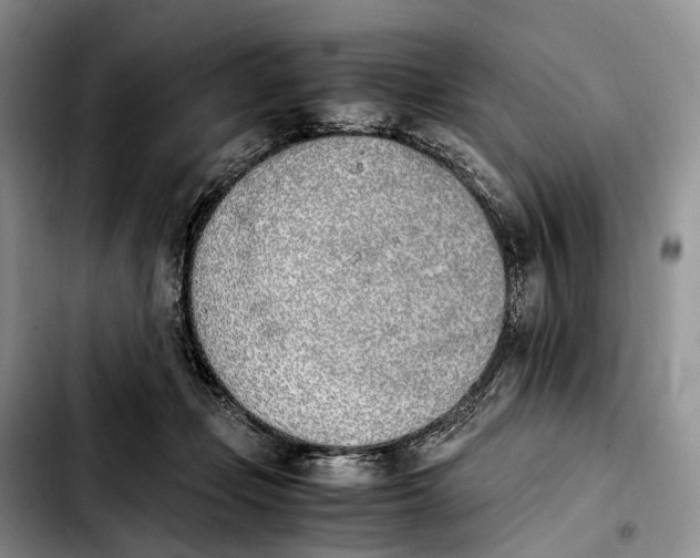 X0000103940365200810101421