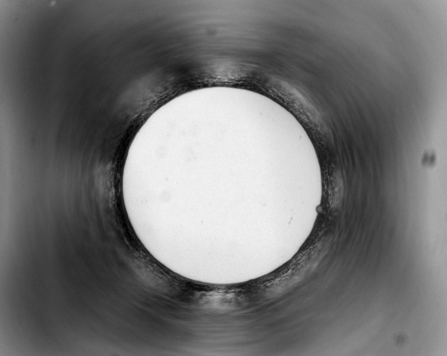 X0000103940366200810101421