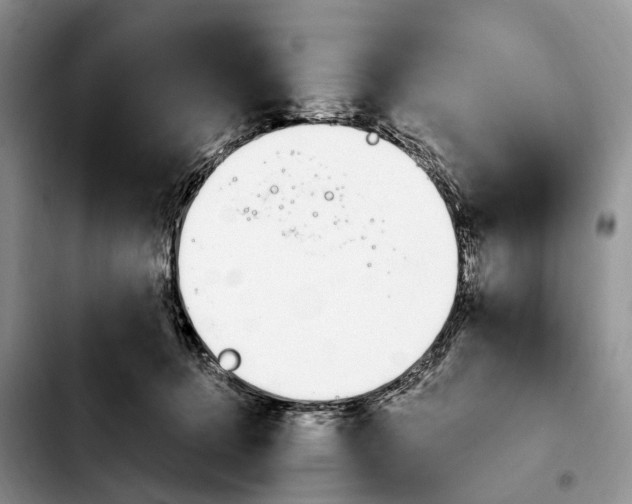 X0000103940368200810101421