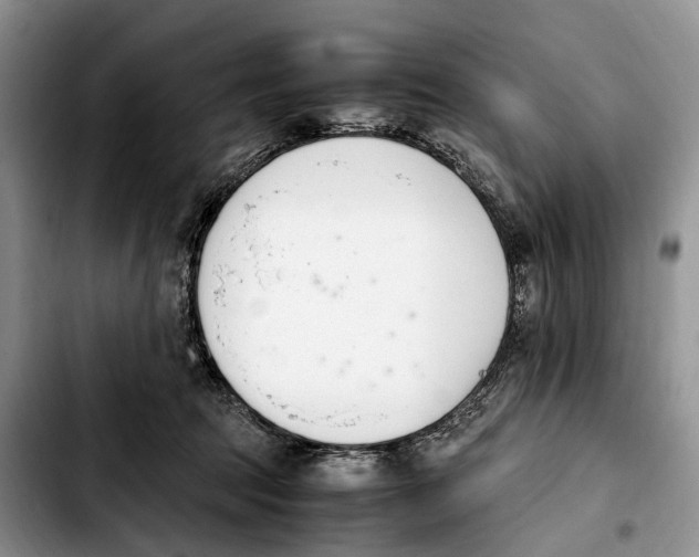 X0000103940369200810101421