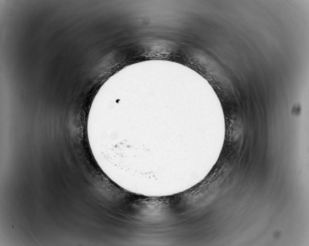 X0000103940370200810101421