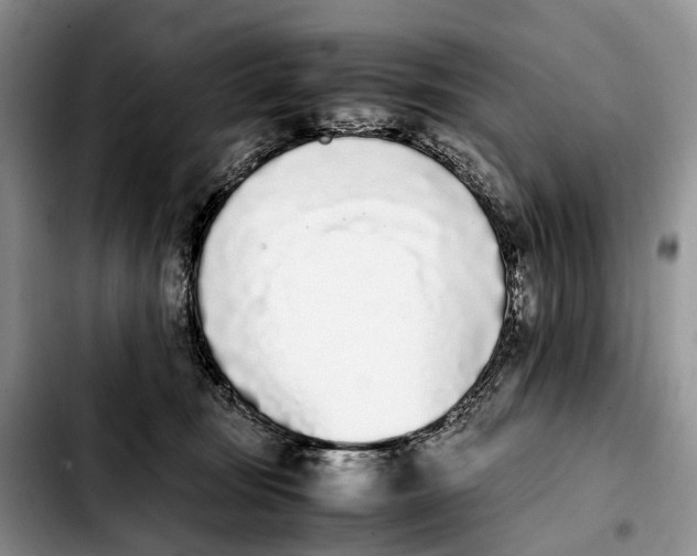 X0000103940371200810101421