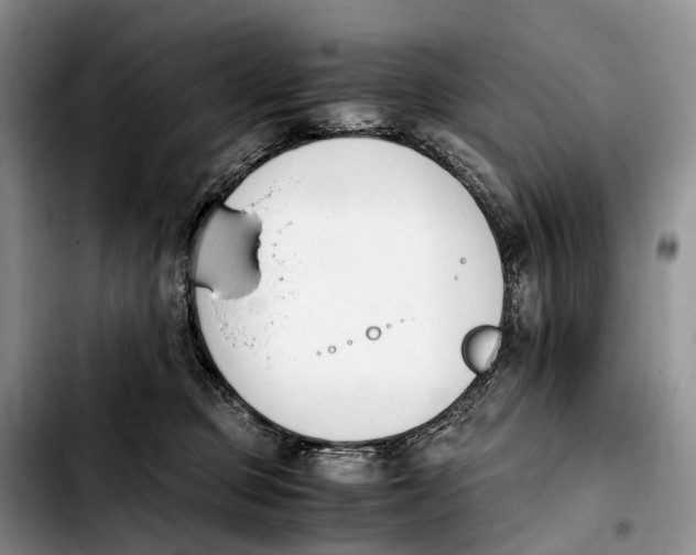 X0000103940373200810101421