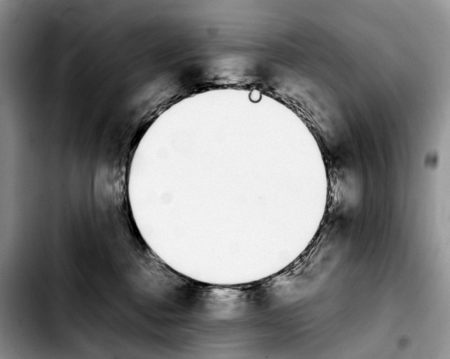 X0000103940376200810101421