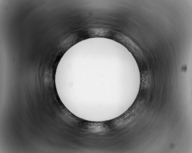 X0000103940377200810101421