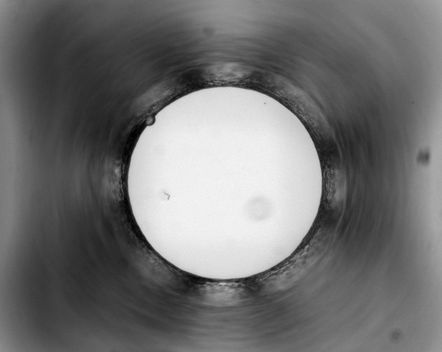 X0000103940378200810101421