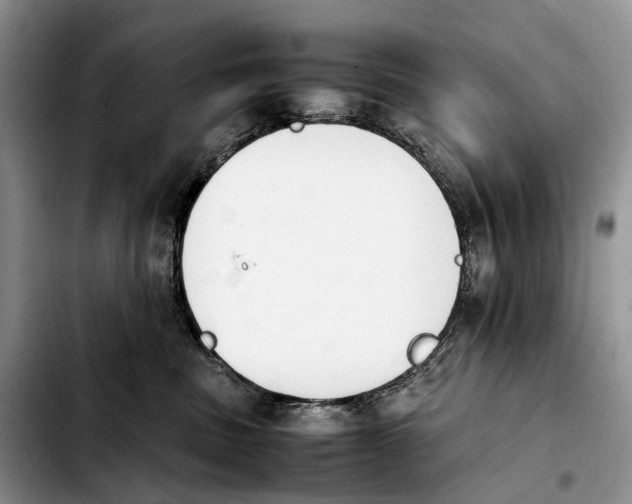 X0000103940379200810101421