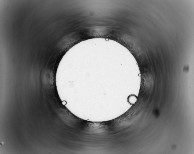 X0000103940380200810101421