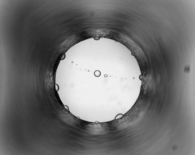 X0000103940381200810101421