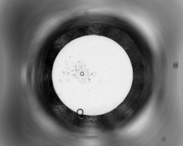 X0000103940382200810101421