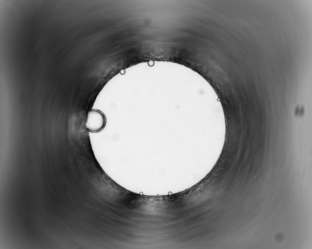 X0000103940384200810101421