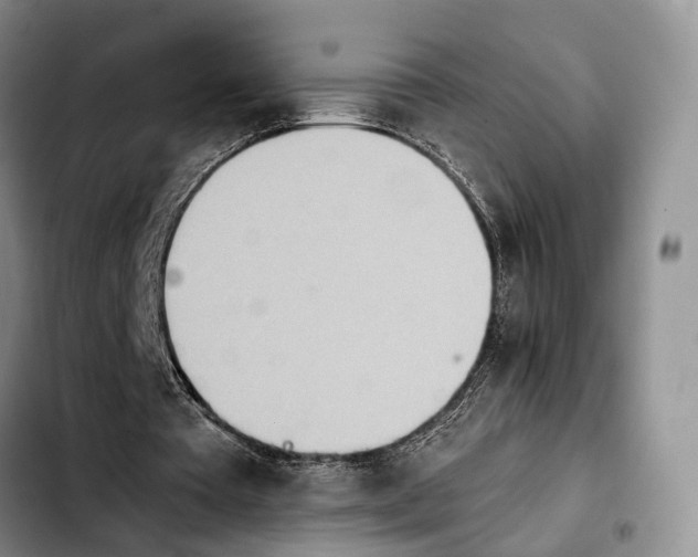 X0000103940385200810101421