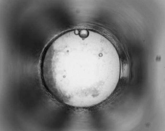 X0000103940387200810101421