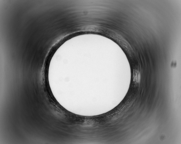 X0000103940388200810101421