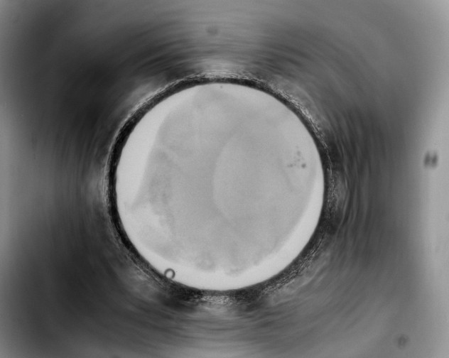 X0000103940391200810101421