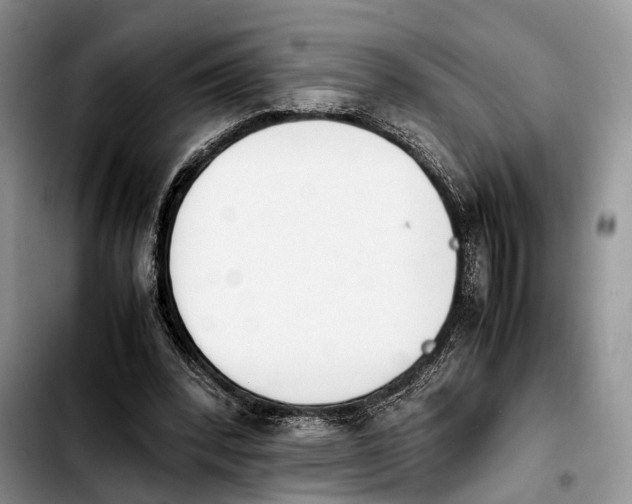 X0000103940392200810101421