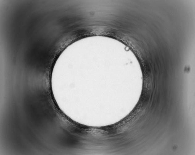 X0000103940393200810101421