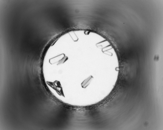 X0000103940395200810101421