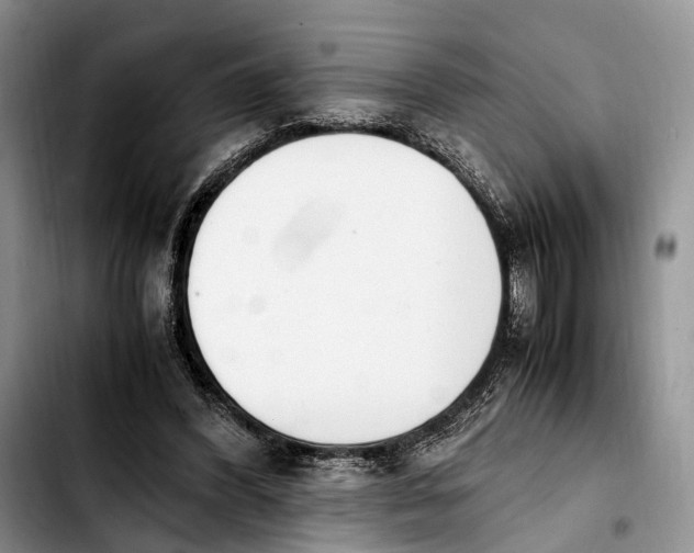 X0000103940396200810101421