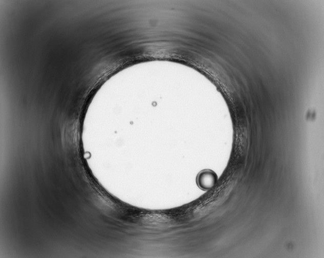 X0000103940397200810101421