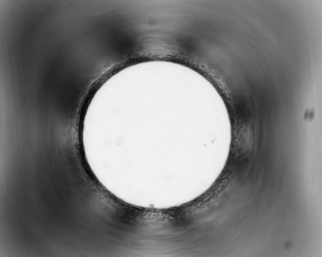 X0000103940399200810101421