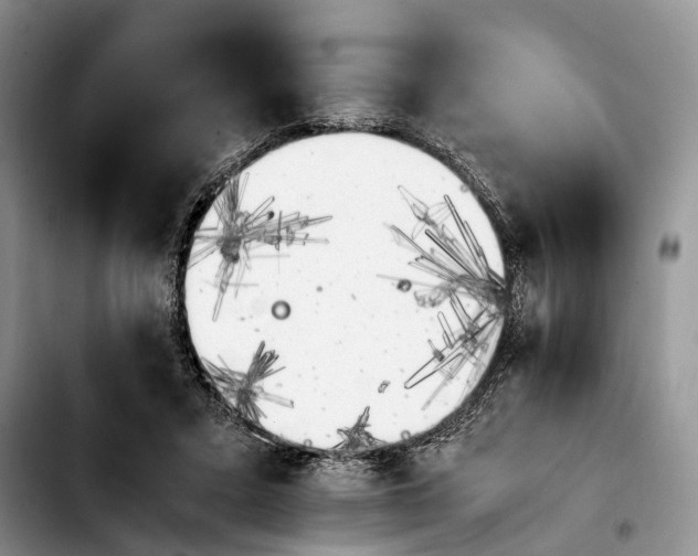 X0000103940403200810101420