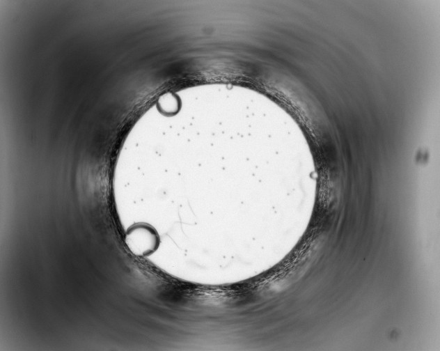 X0000103940405200810101420