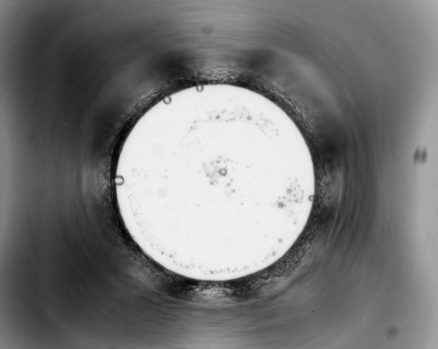 X0000103940407200810101420