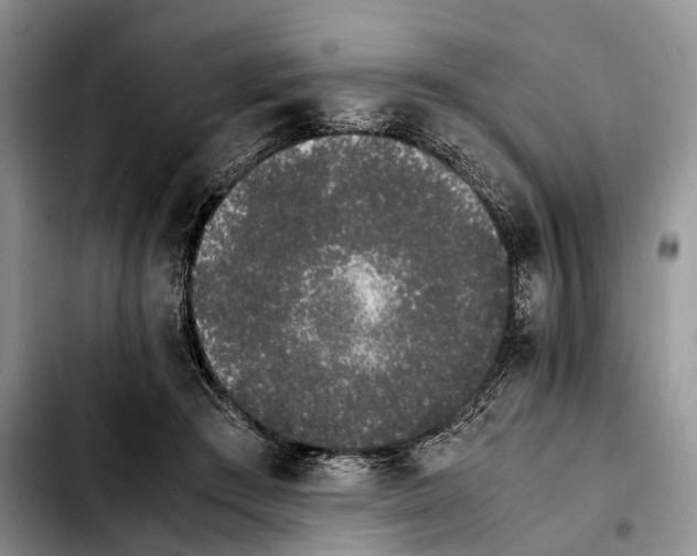 X0000103940409200810101420