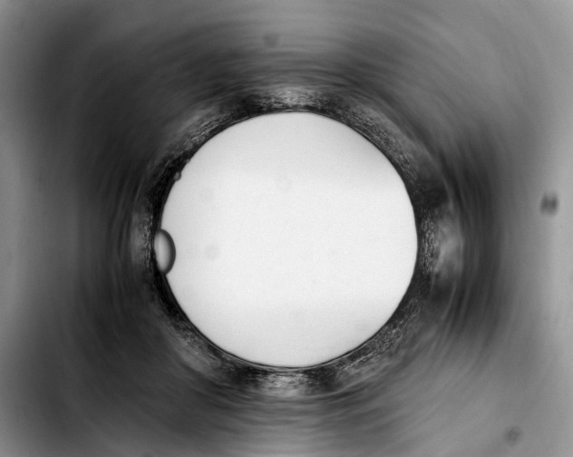 X0000103940410200810101420