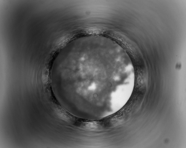 X0000103940411200810101420