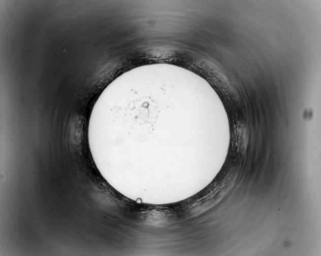 X0000103940412200810101420