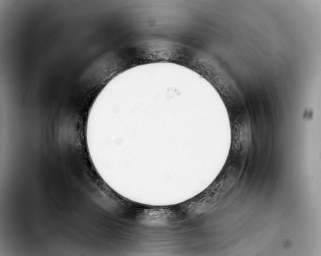 X0000103940414200810101420