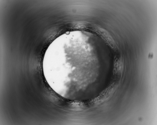 X0000103940415200810101420