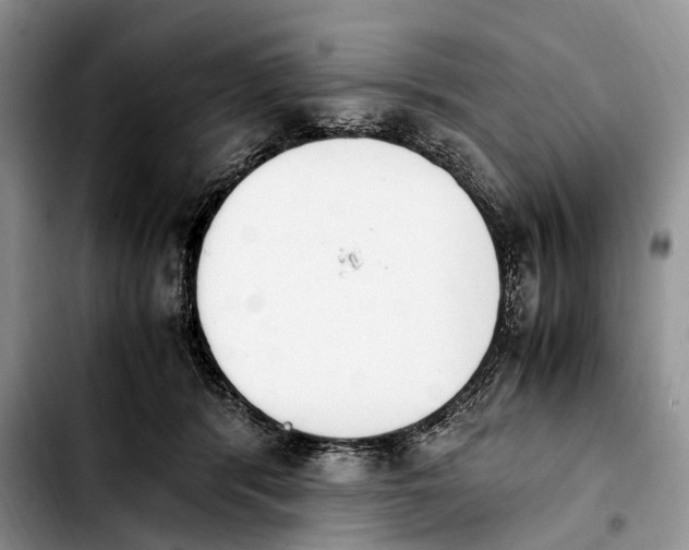 X0000103940416200810101420