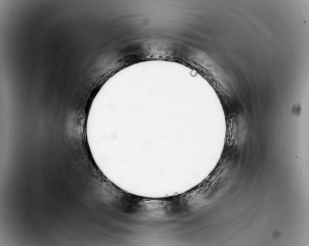 X0000103940417200810101420