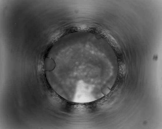 X0000103940419200810101420